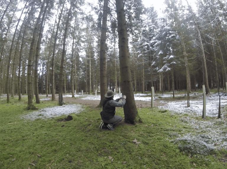 WoodKinship_Fieldwork